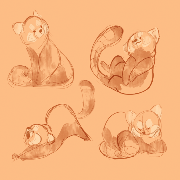 Референсы панд