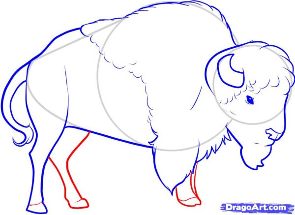 Нарисовать бизона