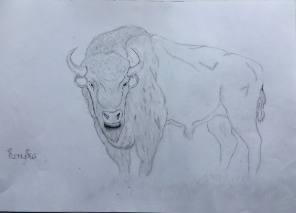 ЗУБР карандашом