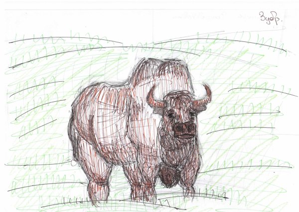 Несложные рисунки зубра