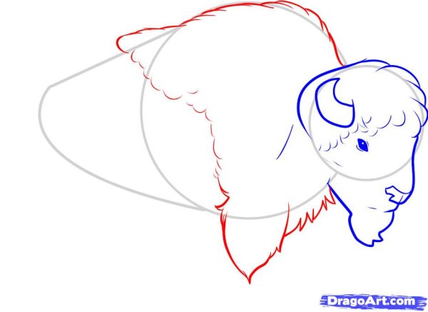 ЗУБР рисунок поэтапно