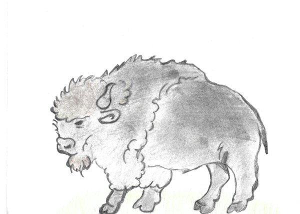 Бизон карандашом