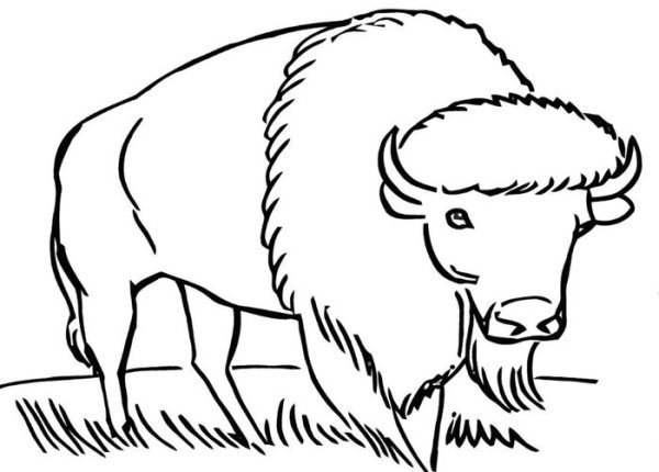 ЗУБР для детей