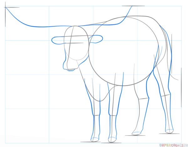Этапы рисования быка