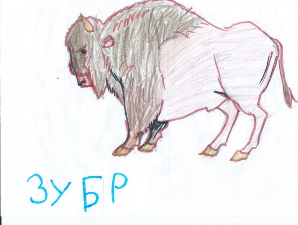 ЗУБР пошагово
