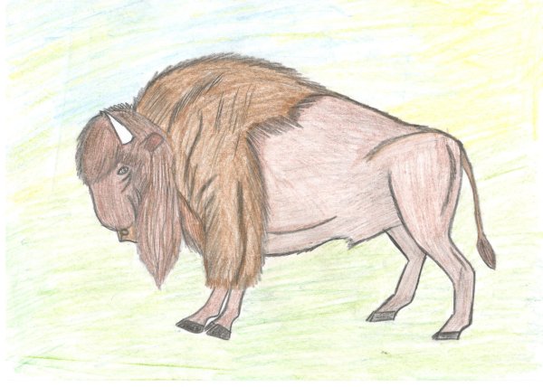 ЗУБР детский рисунок