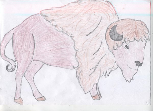 Детские рисунки зубра
