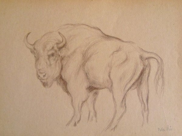Бык Академический рисунок