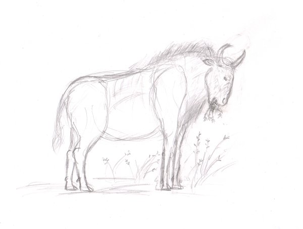 ЗУБР на фоне гор рисунок