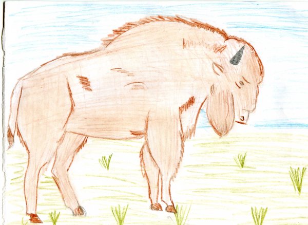 ЗУБР пошагово