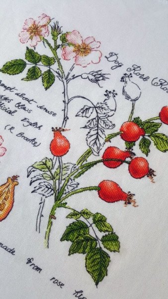 Шиповник ягоды вышивка