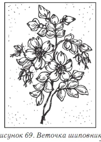 Эскизы для вышивки лентами