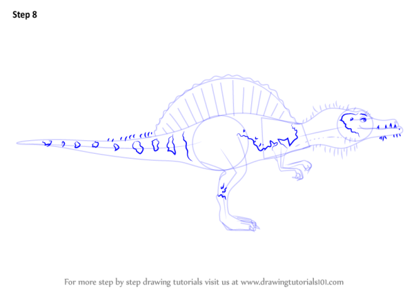 Чертеж Спинозавра