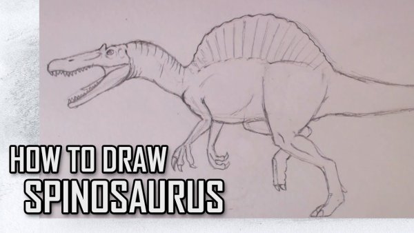 Динозавр Спинозавр для срисовки