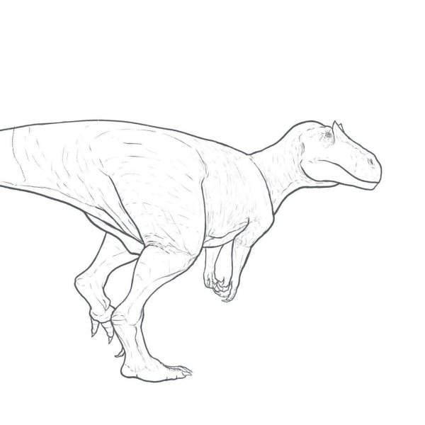 Аллозавр карандашом