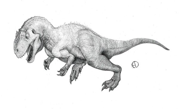 Рисунок Аллозавра