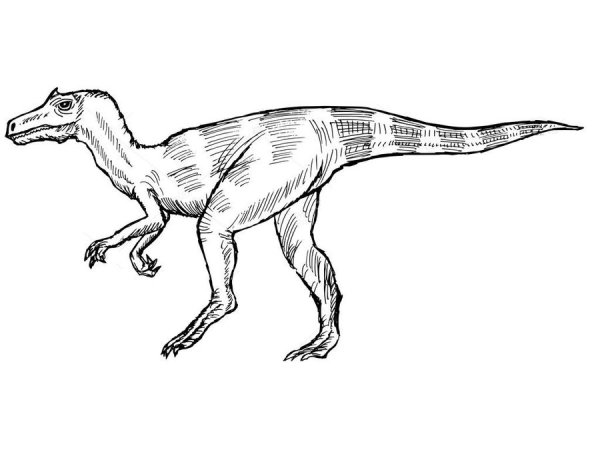 Аллозавр вектор