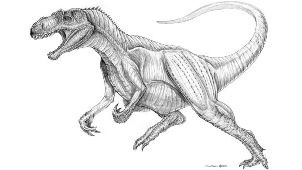 Аллозавр чб