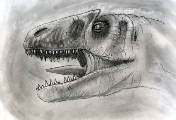 Аллозавр набросок