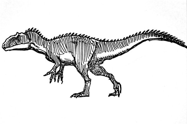 Скелет Аллозавра рисунок