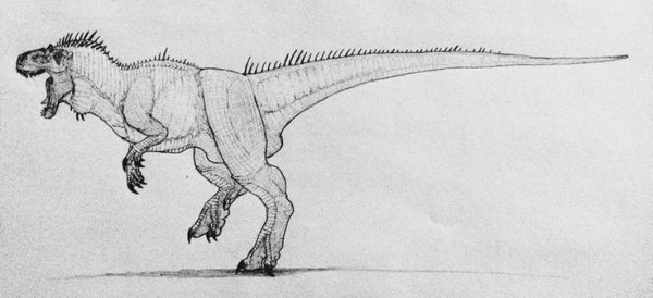 Аллозавр набросок
