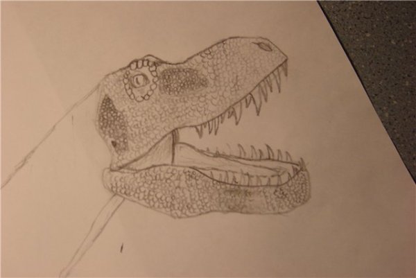 Динозавр рисунок карандашом