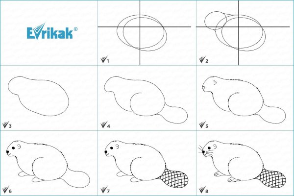 Как нарисовать бобра поэтапно
