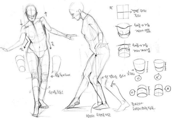 Анатомия для чайников рисование