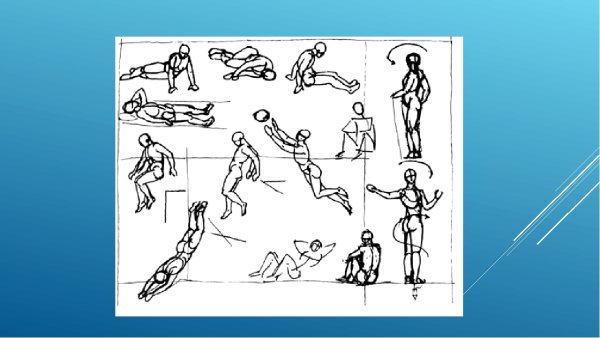 Пропорции фигуры человека в движении