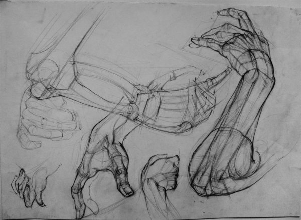 Экорше руки Академический рисунок