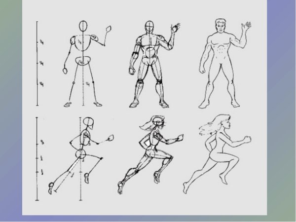 Насекомые поэтапно