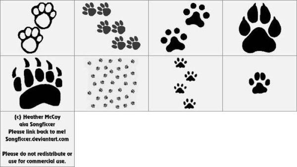 Следы животных рисование в первой младшей группе