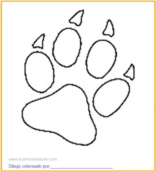 Следы животных для раскрашивания