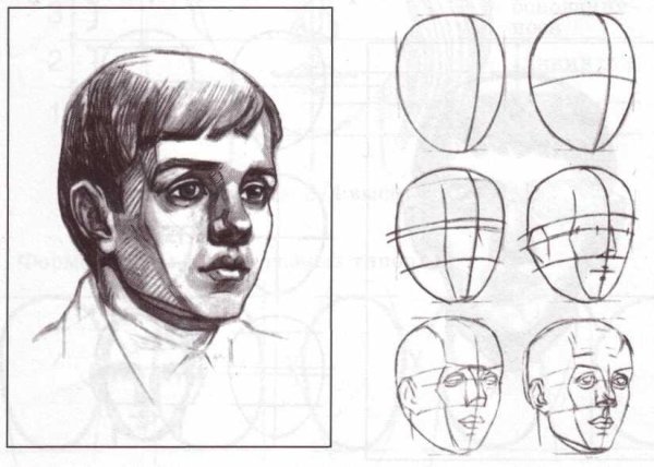 Этапы рисования головы человека