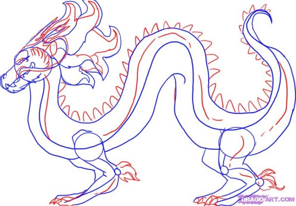 Поэтапный рисунок китайского дракона