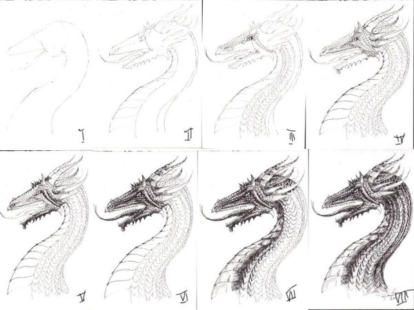 Поэтапные рисунки драконов