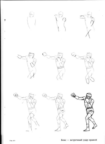 Поэтапное рисование боксера