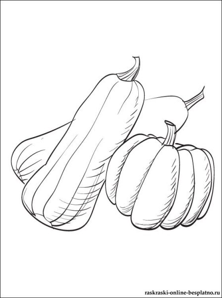Раскраски овощи кабачок