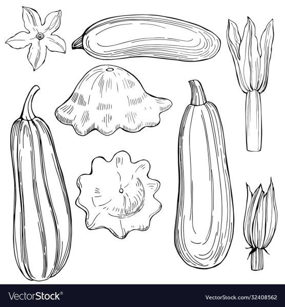 Кабачок Графика