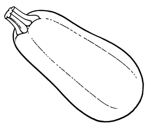 Кабачок раскраска