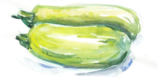 Кабачок рисунок