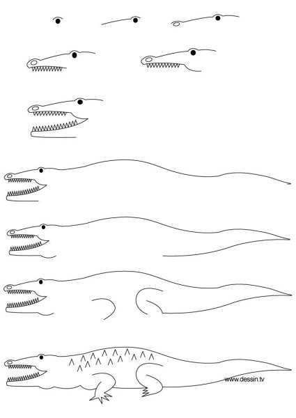 Поэтапный рисунок вороны