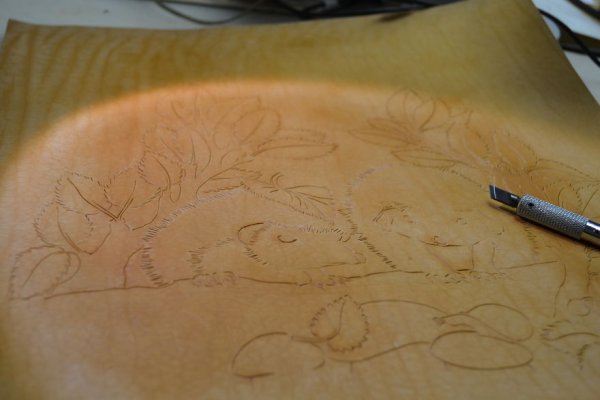 Рисование скворца поэтапно в средней группе