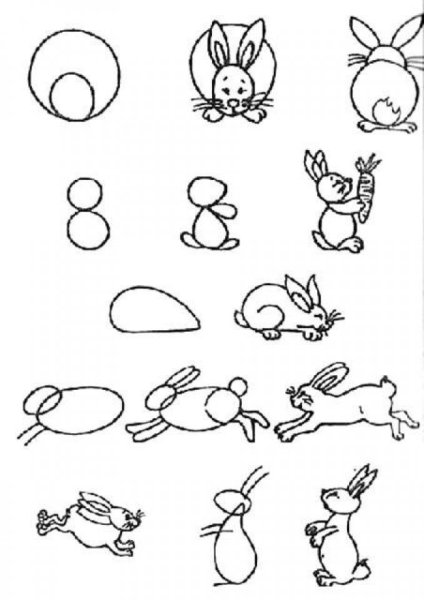 Алгоритм рисования животных