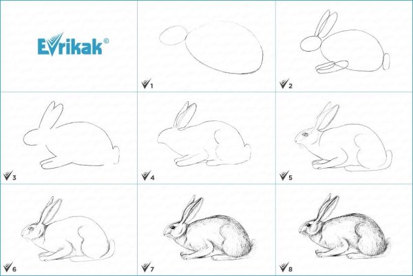 Кролик рисунок поэтапно