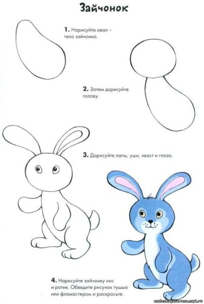 Схема рисования поэтапное зайца