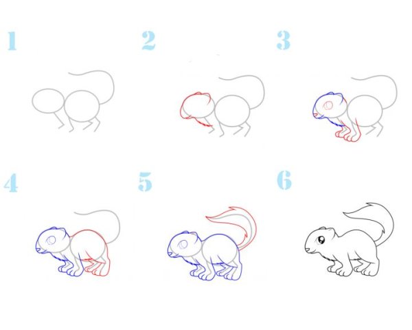 Хорёк рисунок пошагово