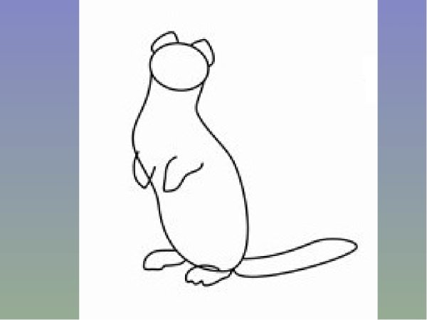 Поэтапное рисование соболя