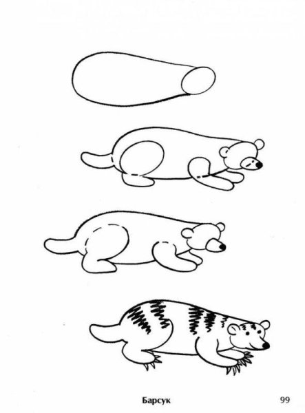 Барсук рисунок для детей