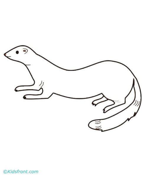 Ласка раскраска